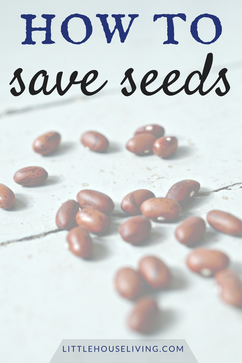 How To Save Seeds | Little House Living