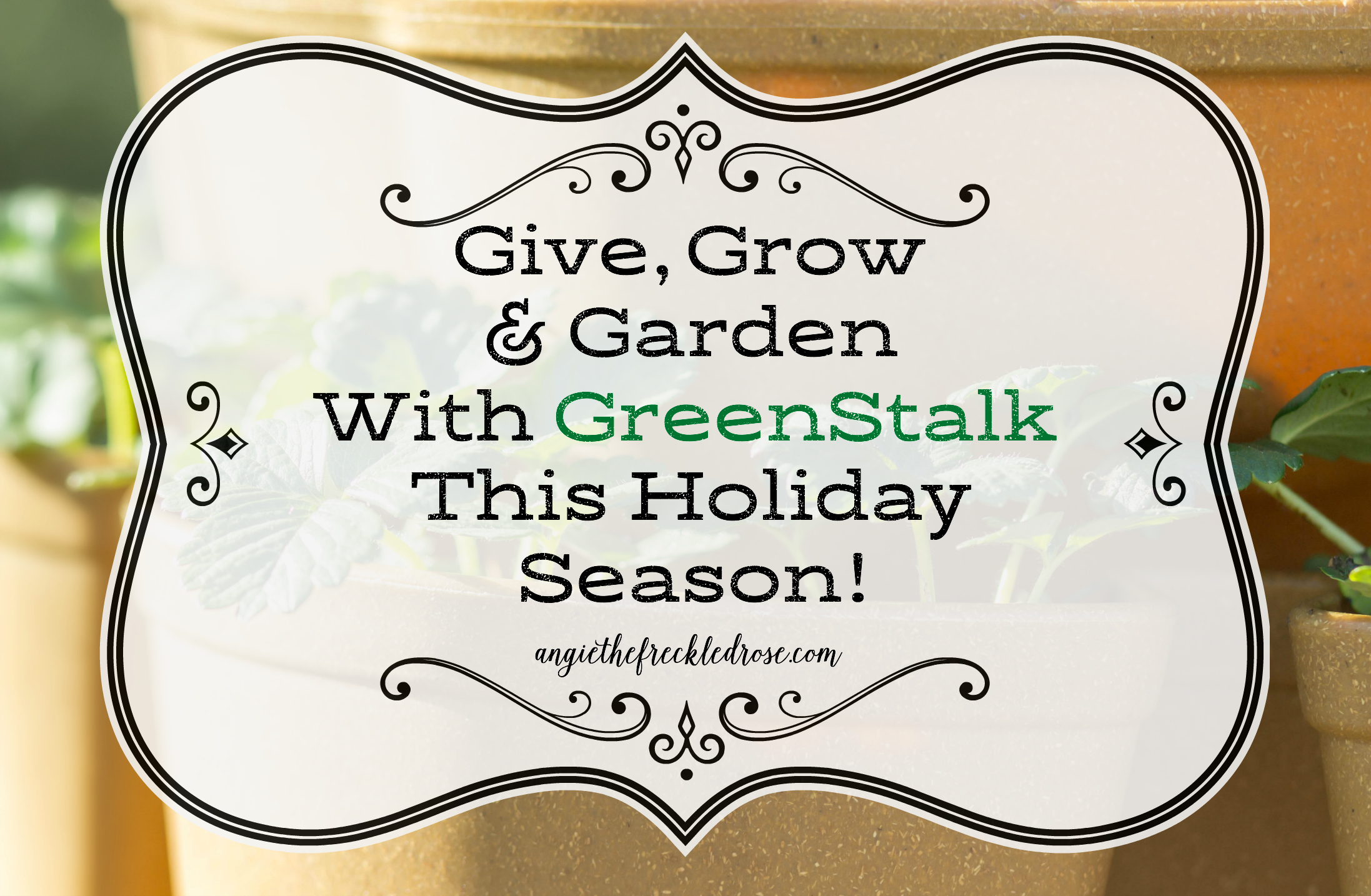 Give, Grow & Garden With Greenstalk This Holiday Season! | angiethefreckledrose.com