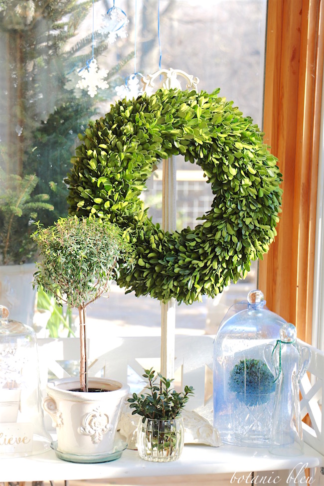 Winter Greenery After Christmas - Botanic Bleu 