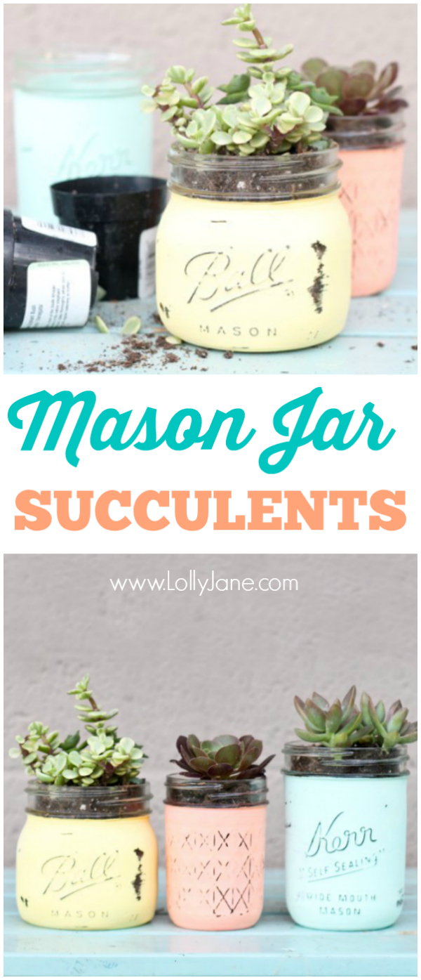 DIY Mason Jar Succulents | Lolly Jane
