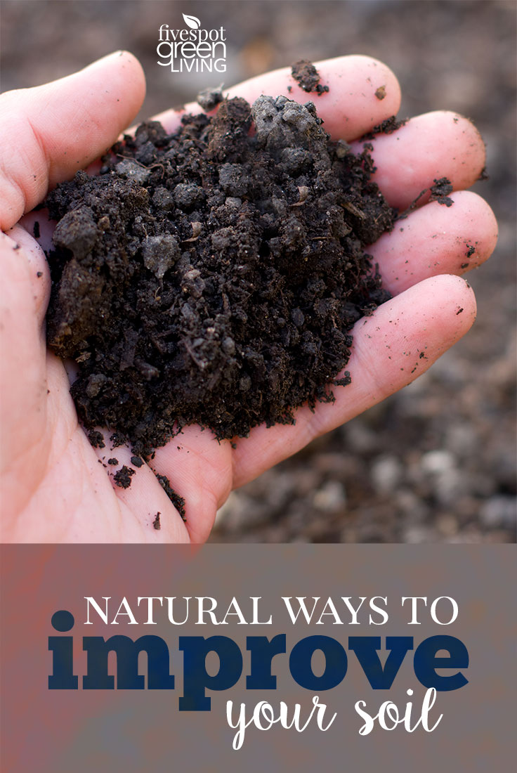 Natural Ways To Improve Your Soil | Fivespot Green Living