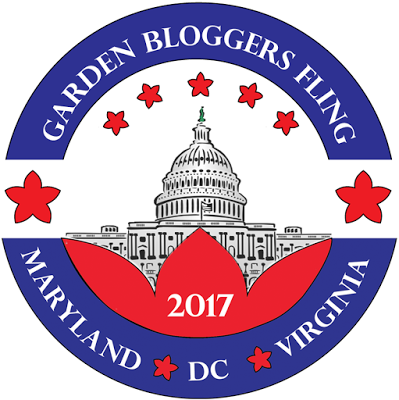 The Garden Bloggers Fling | angiethefreckledrose.com