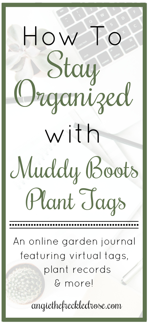 How To Stay Organized with Muddy Boots Plant Tags | angiethefreckledrose.com