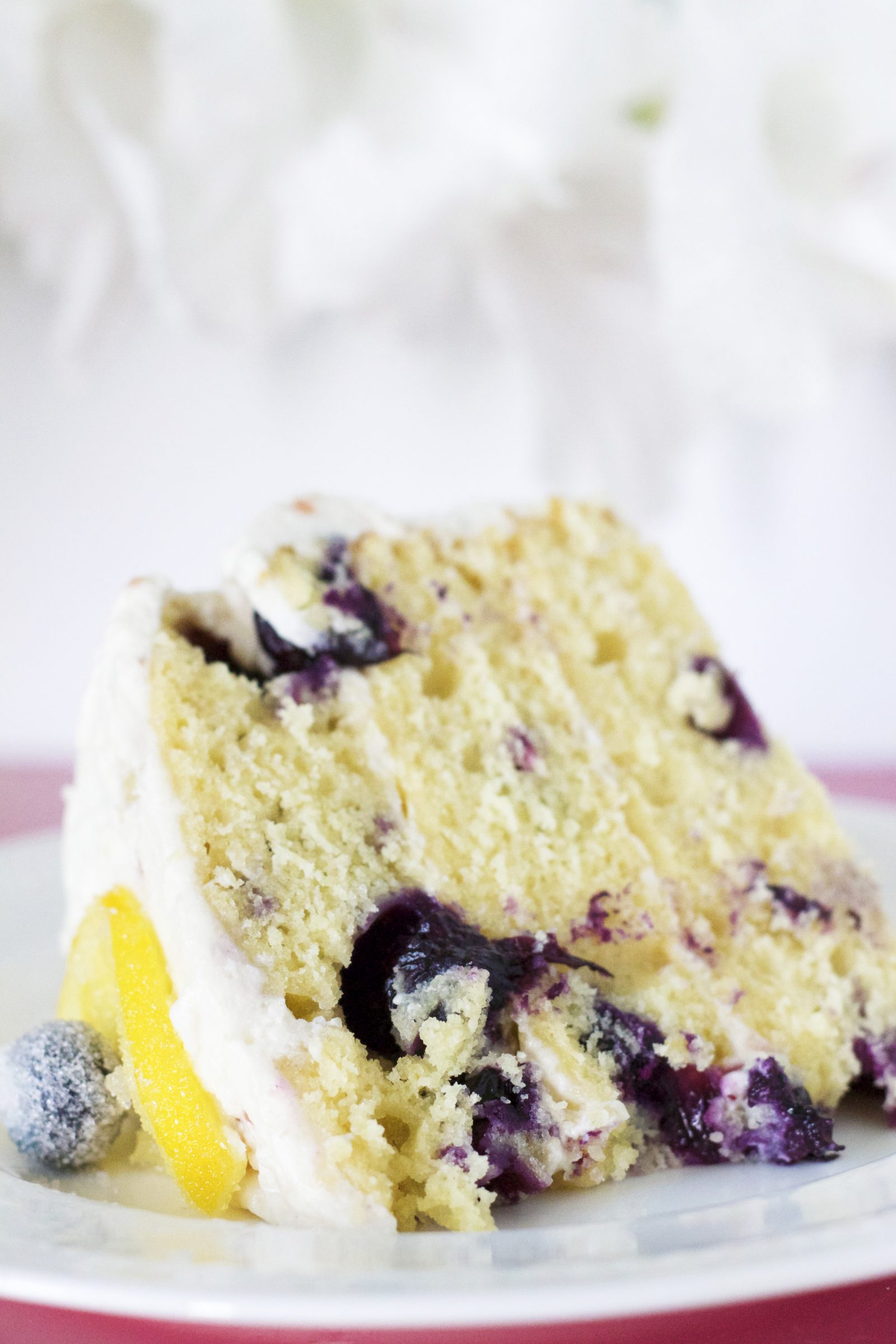 Lemon Blueberry Cake with Strawberry Whipped Cream Frosting | Embellishmints