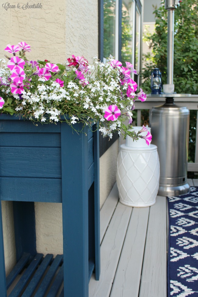 How To Care For Hanging Baskets and Planters | Clean and Scentsible 