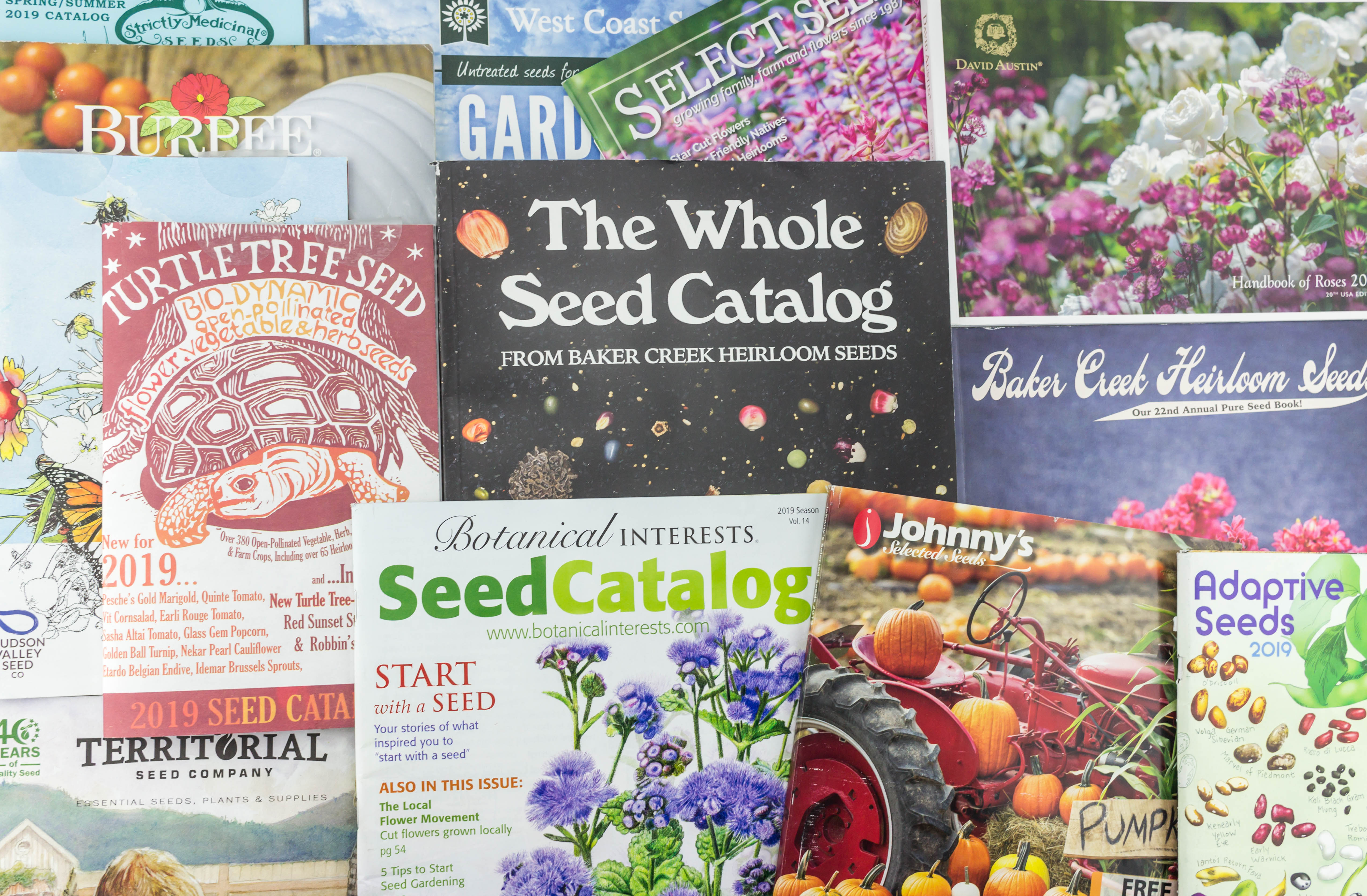 The Ultimate List of Seed Catalogs and Plant Companies Angie The Freckled Rose