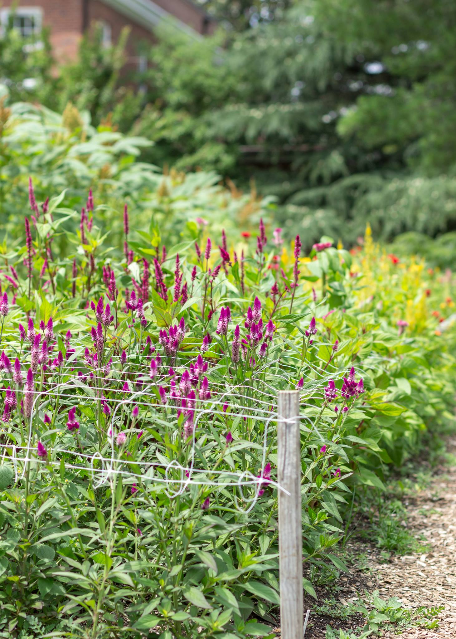 The Gardens of Hillwood Estate | angiethefreckledrose.com