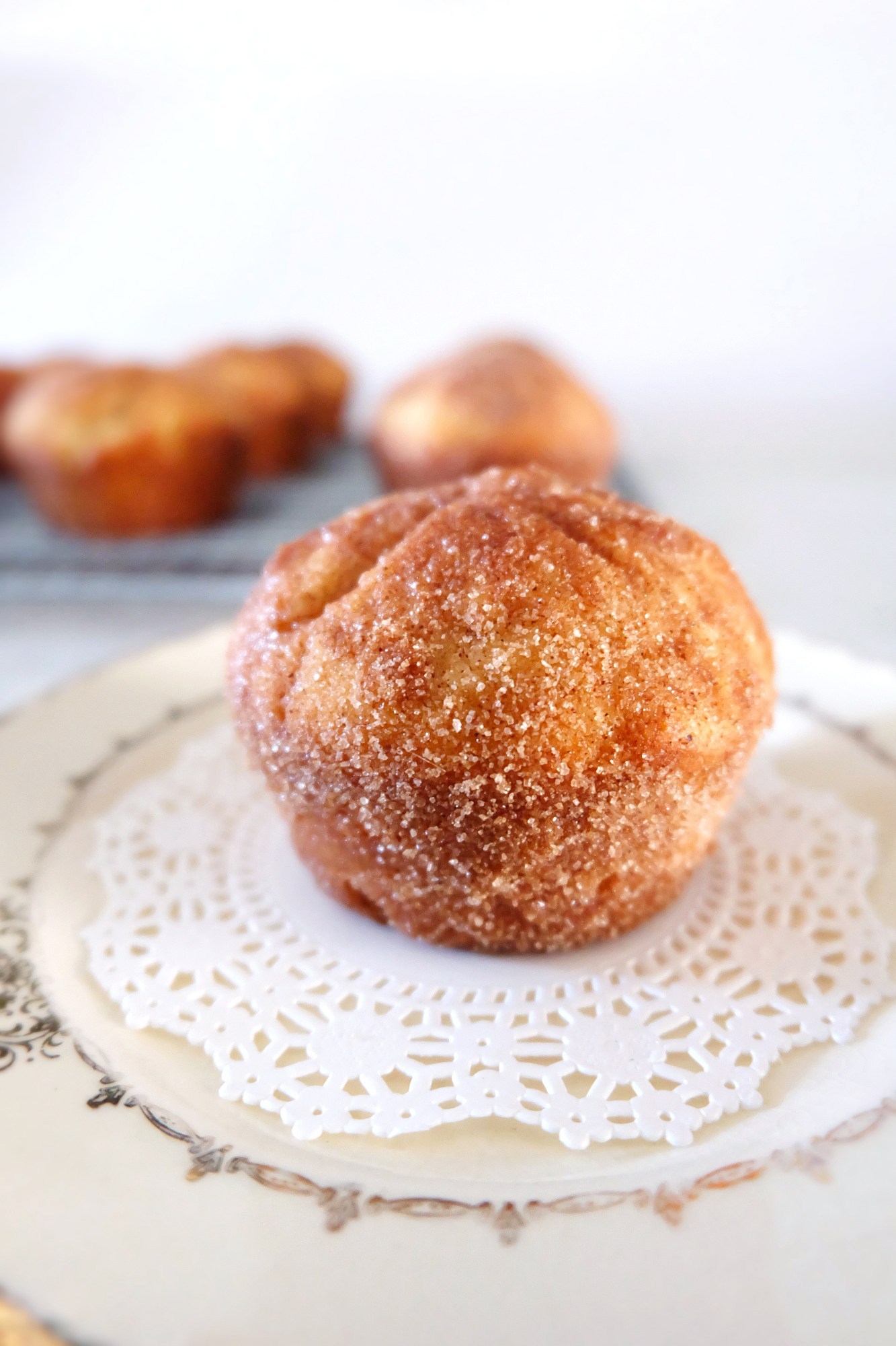 Cinnamon Sugar Breakfast Puffs | Flaky Bakers 