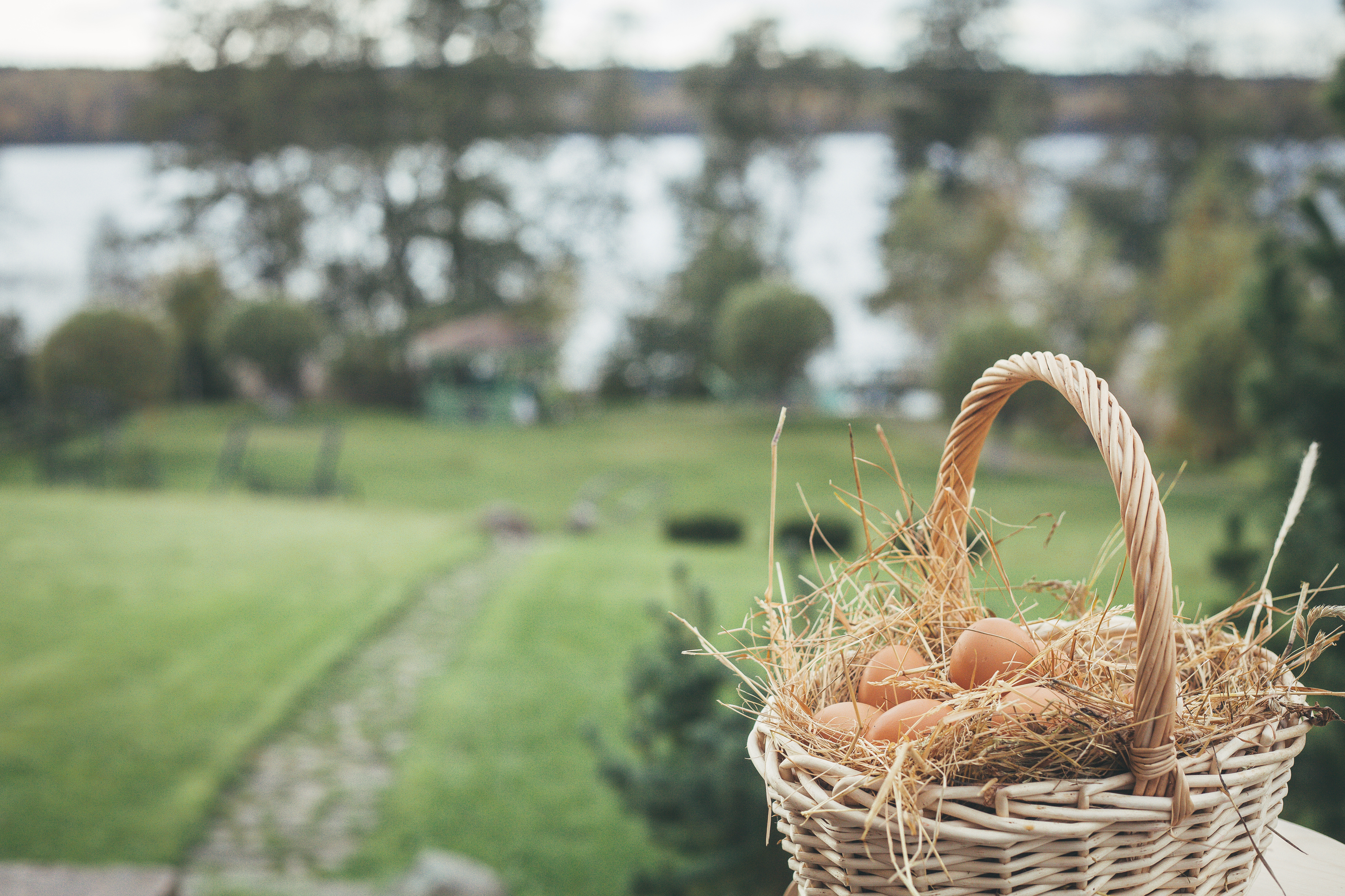 Recommendations on tips on how to Save Money Homesteading